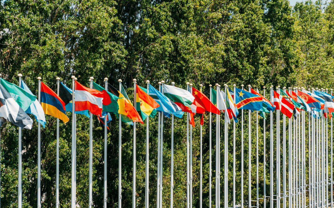 United Nations Celebration